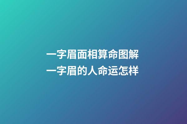 一字眉面相算命图解 一字眉的人命运怎样